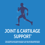 21st Century, Arthri-Flex Advantage® с витамином D3, 120 таблеток, покрытых оболочкой