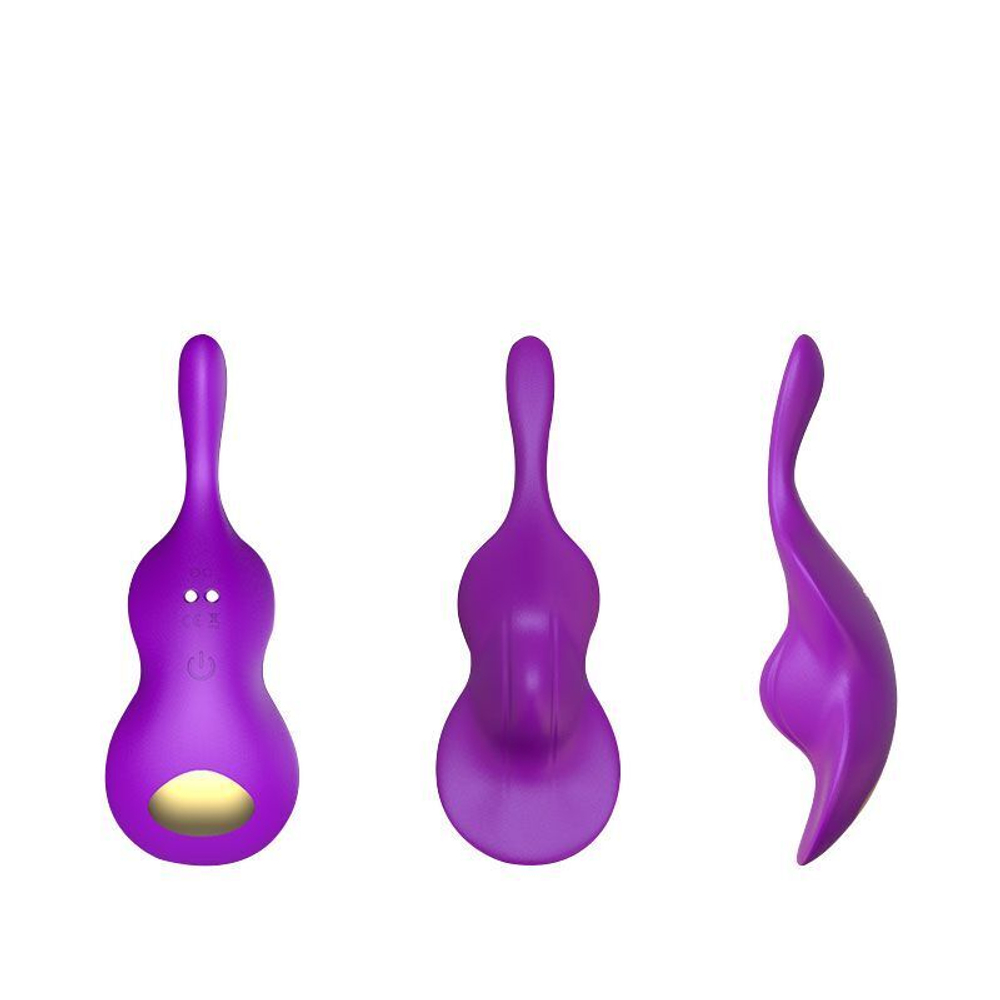 Фиолетовый вибратор в трусики Take Over The Violin (Цвет: фиолетовый)