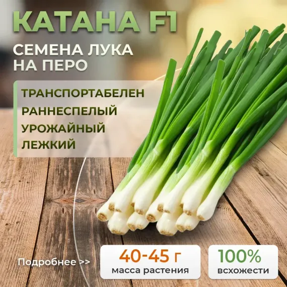 КАТАНА F1 семена лука на перо (Sakata | Alexagro)