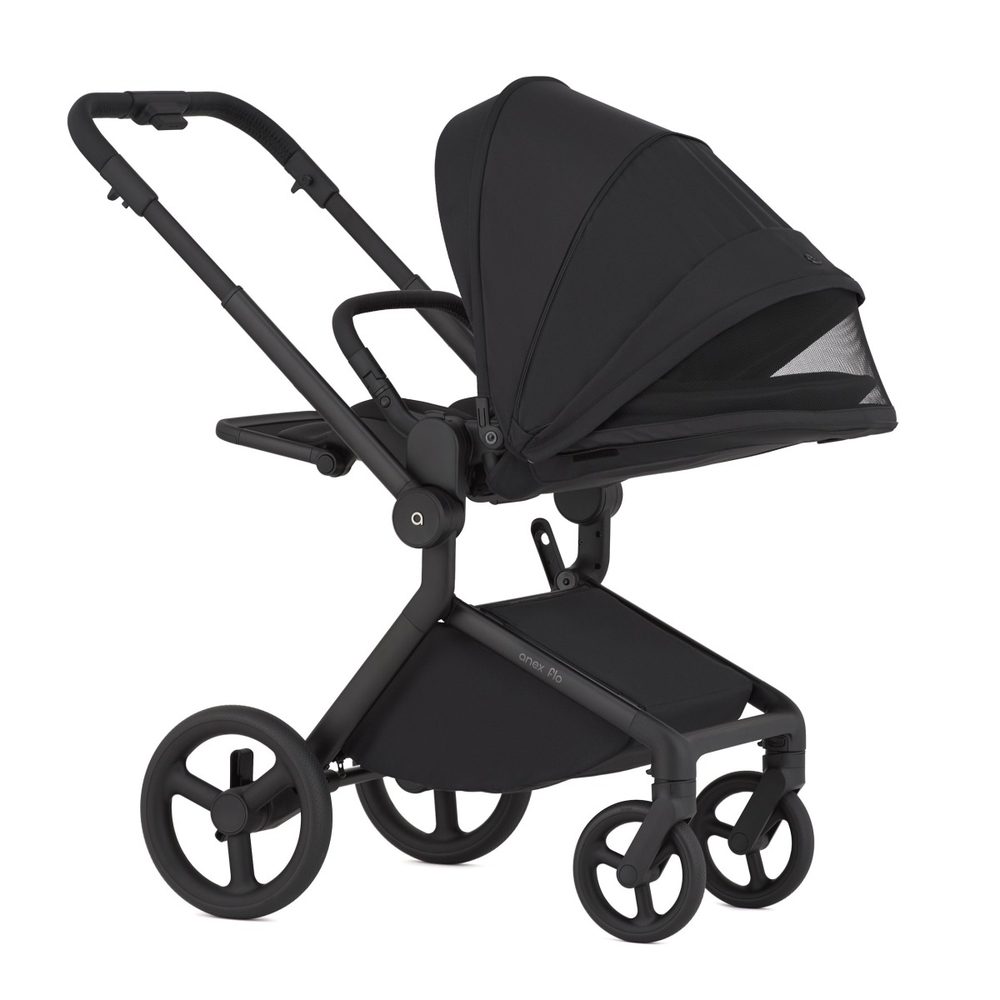 Коляска 2 в 1 ANEX Flo Lungo