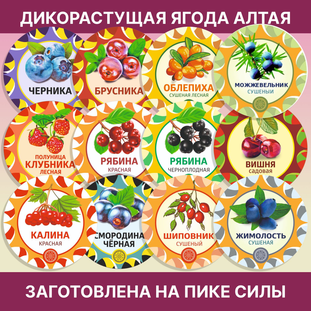 Шиповник плоды сушеные Вятский.