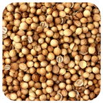 Starwest Botanicals, Органические семена кориандра, 453,6 г (1 фунт)