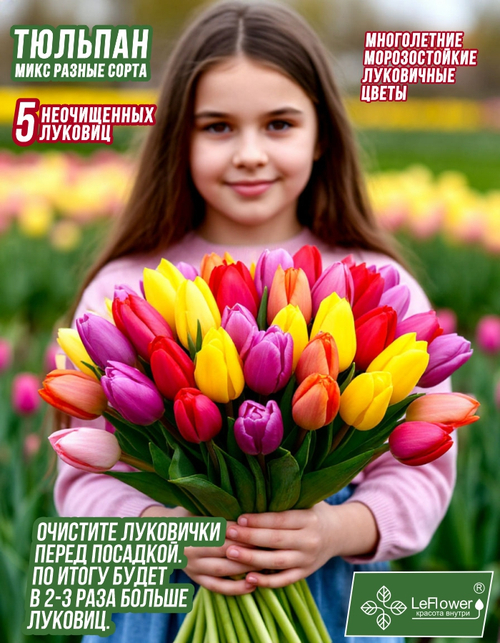 Тюльпан Луковица, Микс сортов 5 шт, неочищенные