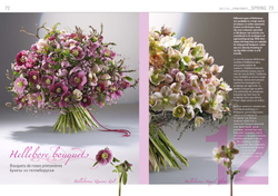 BLOOM's World # 07