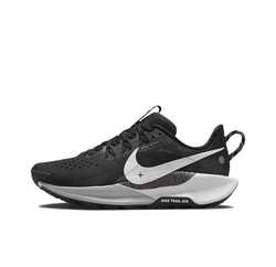 Женские кроссовки Nike Pegasus Trail 5 'Black White' DV3865-001