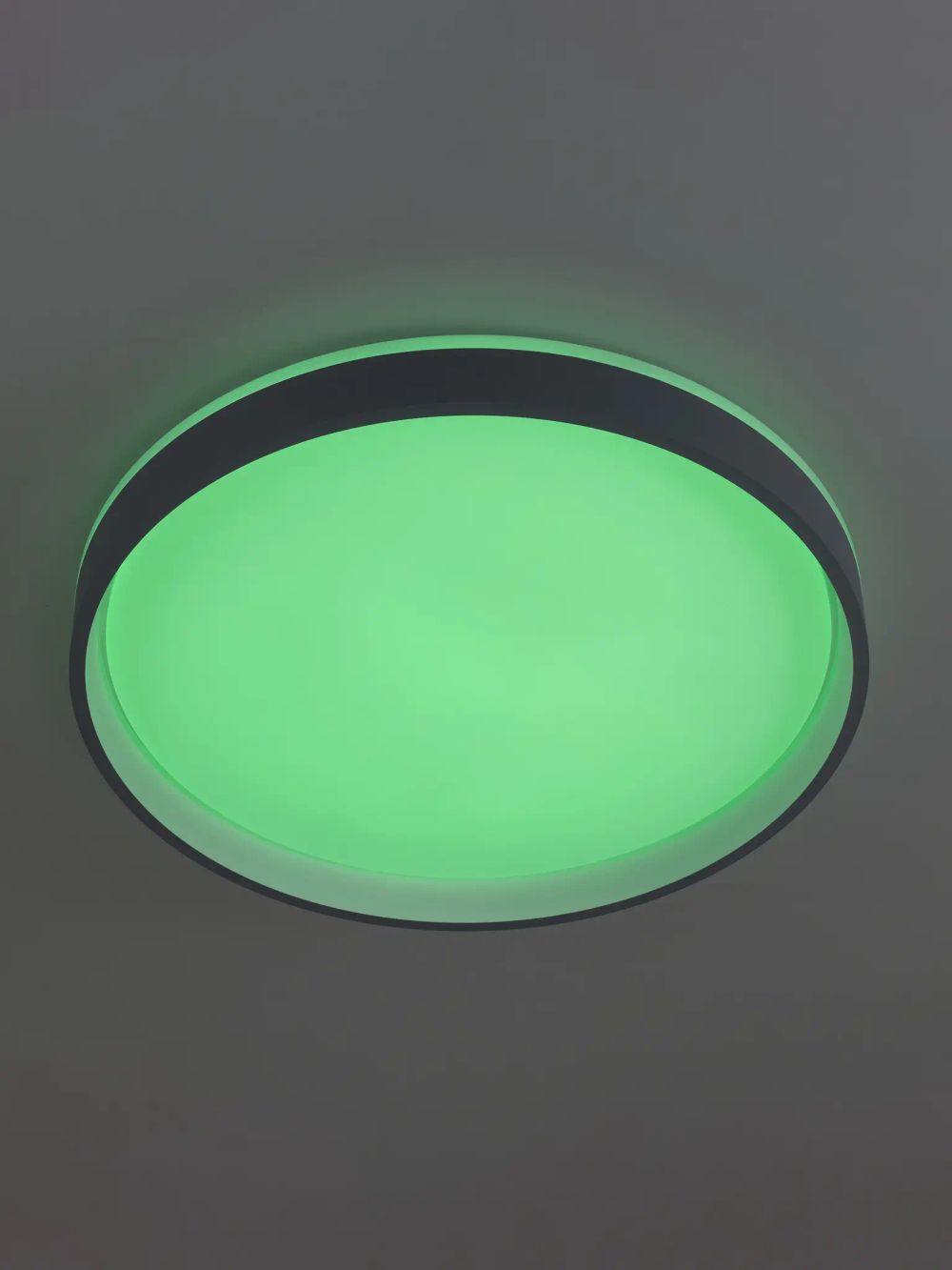 Citilux ENZO CL753453G LED RGB Светильник с пультом Серый + Белый