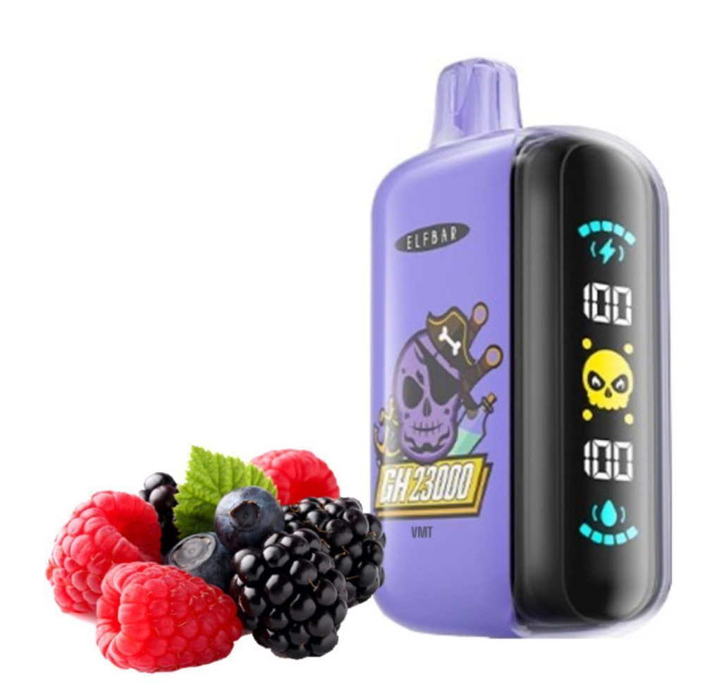 Elf Bar GH23000 - Vimto (5% nic)
