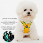 003 Шлейка (фиксатор-пряжка с защелкой, размер-в-размер) SSOOOK