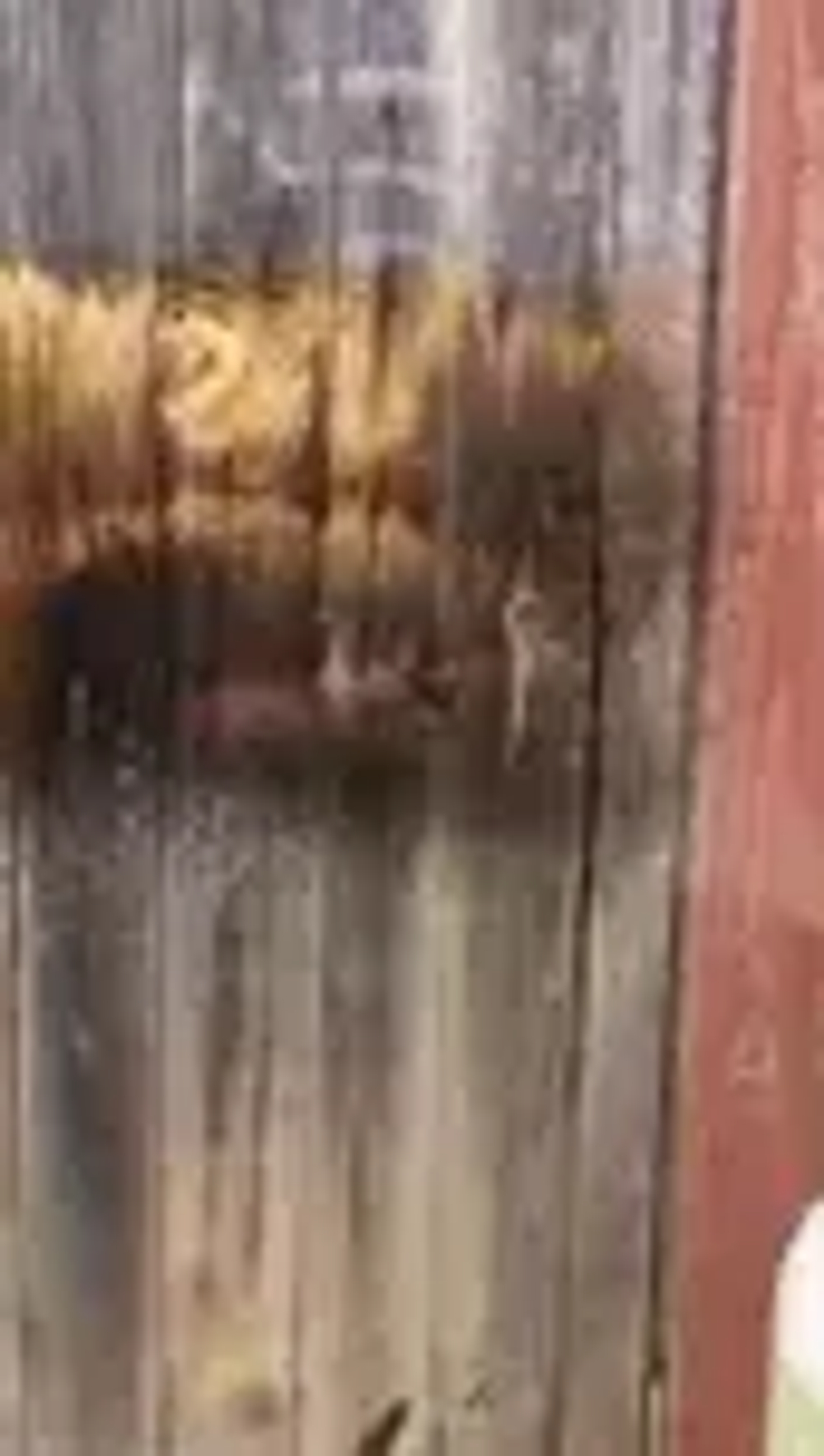 Отбеливатель "ЭкоМагУс" 10 кг.