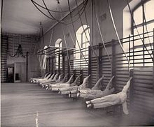 Эволюция шведской стенки с 1793 года Эволюция шведской стенки с 1793 года