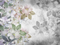 Коллекция FLOREALE