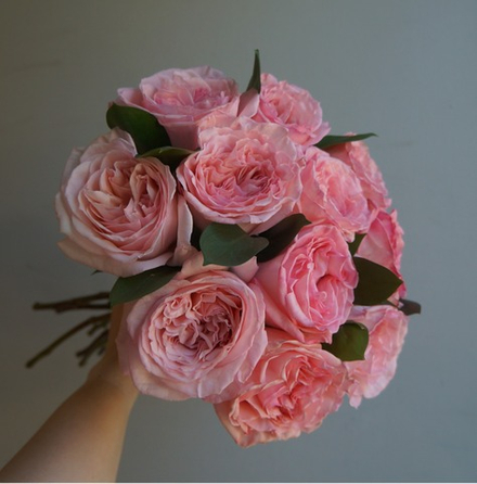 108. Очаровательная Pink O'Hara