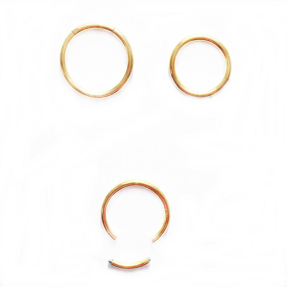 Сегментное кольцо 8 мм со съемным сегментом для пирсинга. Медицинская сталь