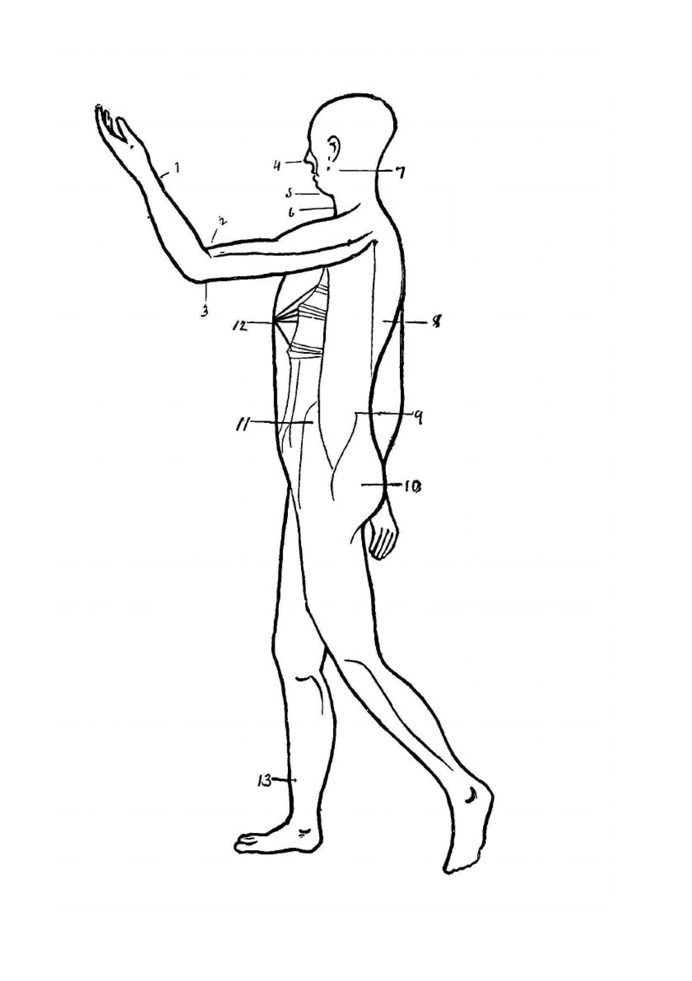 Jiu-jitsu. a comprehensive and copiously illustrated treatise on the wonderful Japanese method of attack and self-defense | Harry Hall Skinner