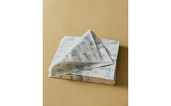 Бумажные салфетки Zara Home, бежевый, 20 шт., 6280/022