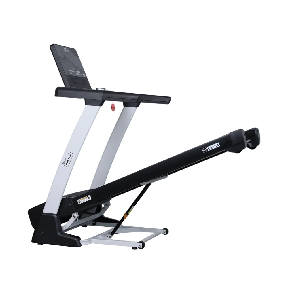 Беговая дорожка Orlauf Larus