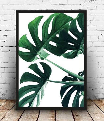 Интерьерная картина в технике цифровой печати. АРТ 010 Листья Монстеры