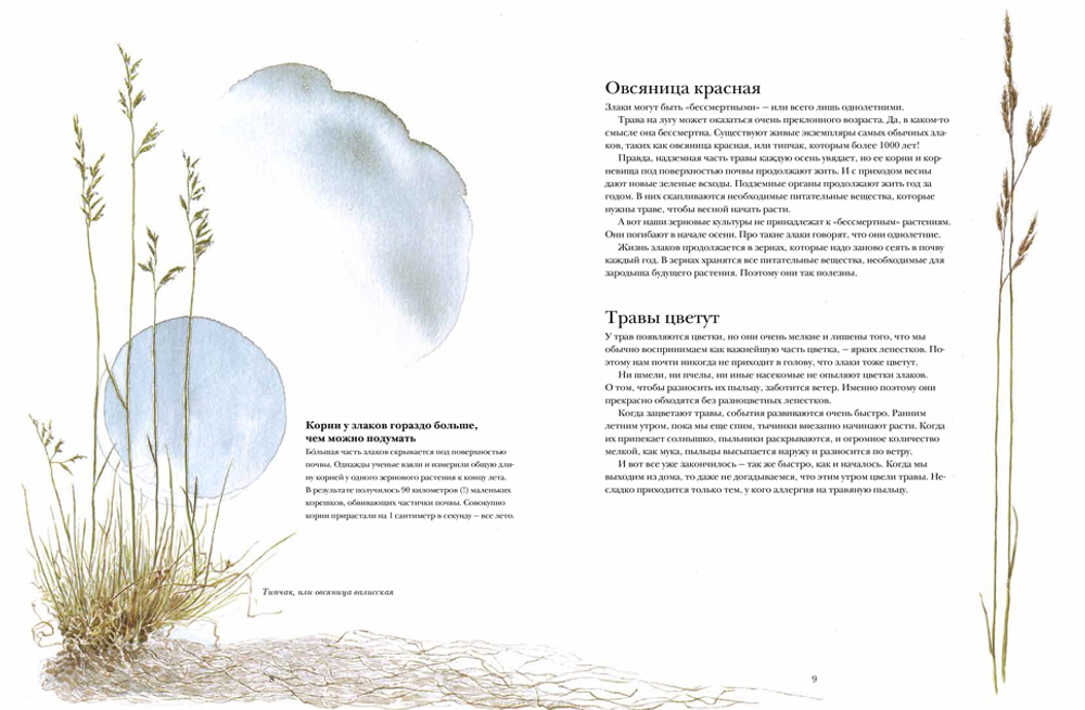 Книга злаков и трав