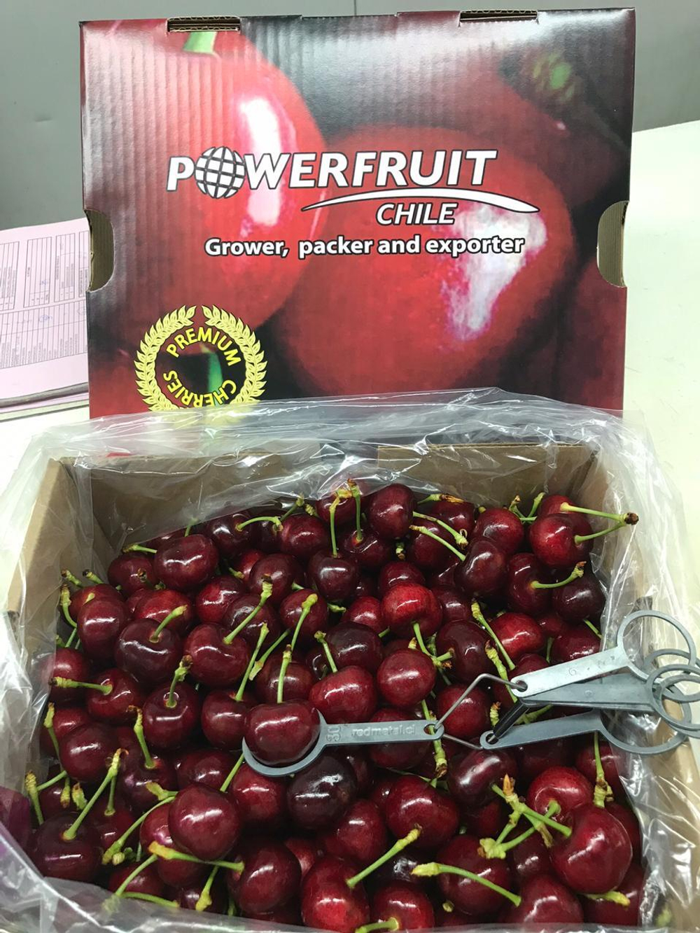 черешня чилийская сорт Bing, lapins ,Van.