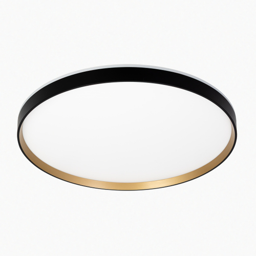 Потолочный светодиодный светильник Citilux Etalon CL750501R