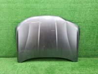 Капот Chery Tiggo 7 Pro (2020-2024)