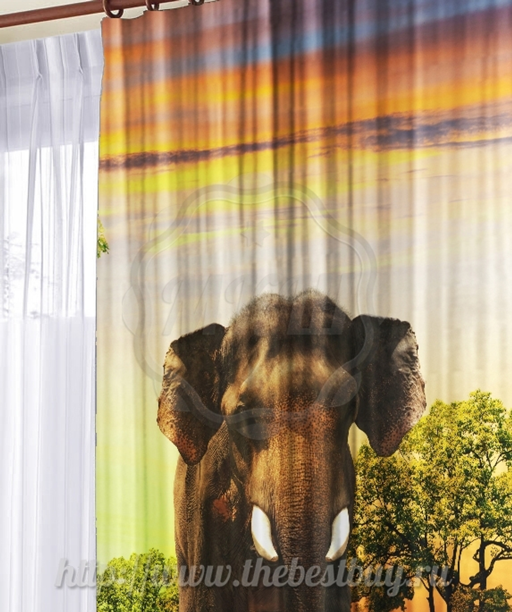 Фото-шторы: Слон (арт. L20-1290)  -  (145х270)х2 см.