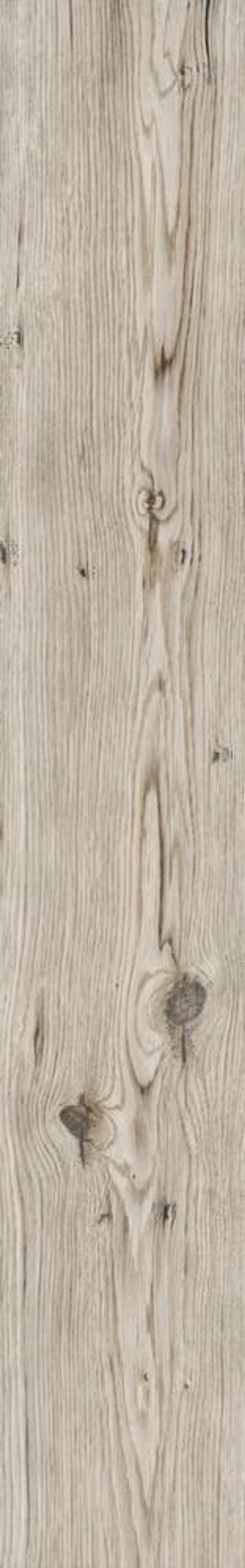 Rondine Living Tortora 15x100