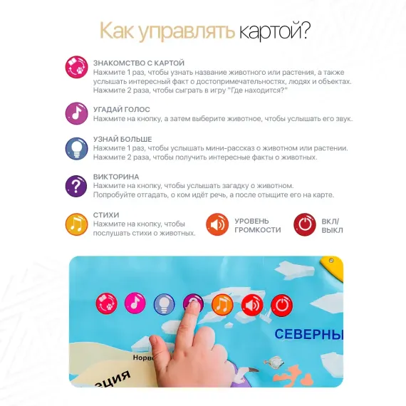 Интерактивная 2-х сторонняя карта «Любозверики» - фото: 6