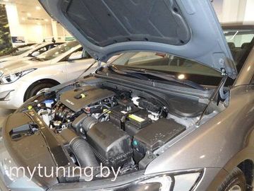 Амортизаторы (упоры) капота для Hyundai Elantra 6(VI)