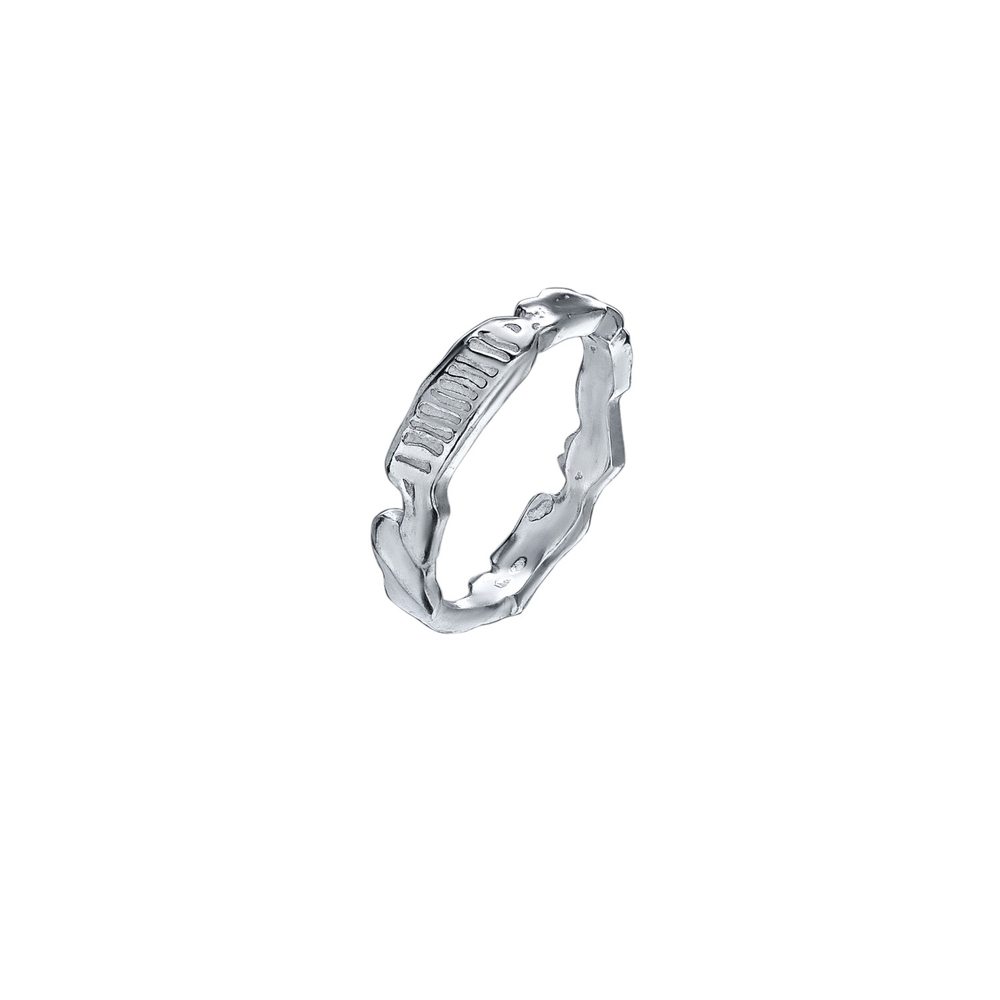 ring_artifact_silver_1_однотон