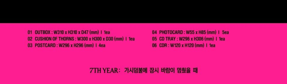 Альбом TXT - 7TH YEAR : Album CUSHION OF THORNS Version