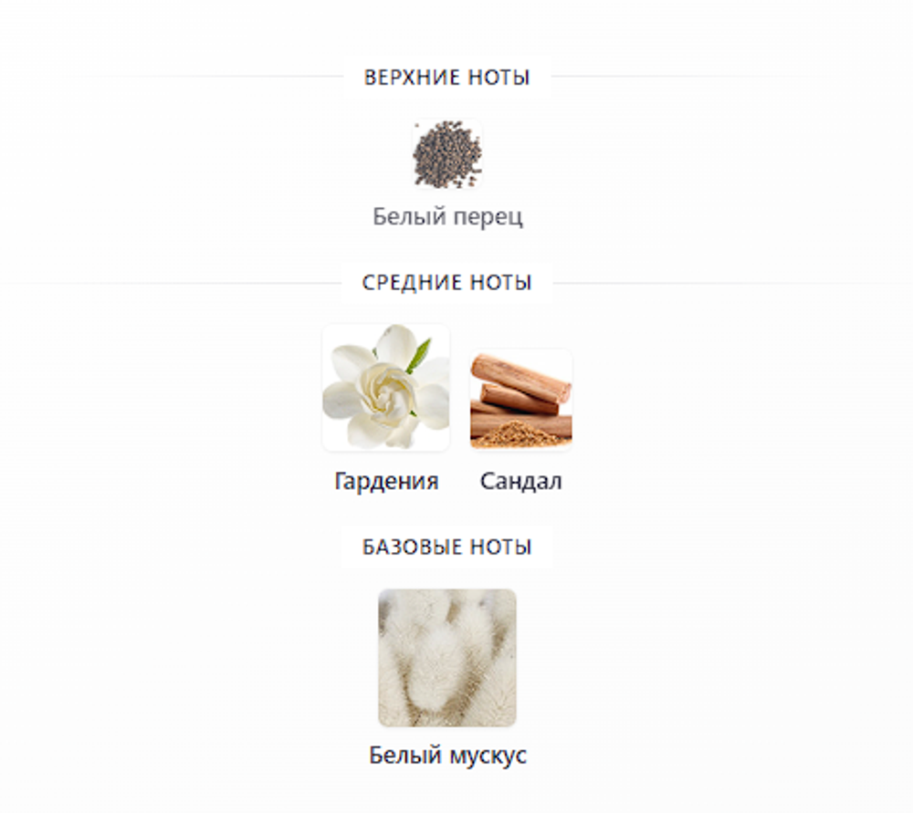 Attar Collection Musk Kashmir 100ml