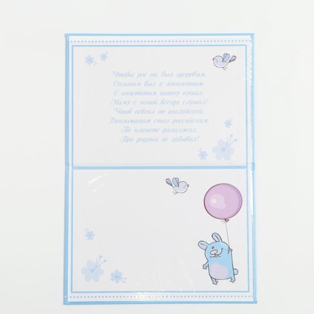 1204840 Папка для свидетельства о рождении мальчика "Коллаж"