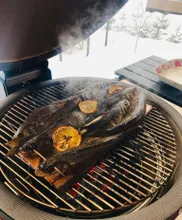 Керамический гриль Kamado Joe Classic II Stand-Alone, 46 см (красный)