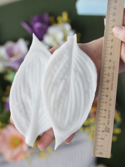 Вайнер лист Хосты ClayCraft by DECO™