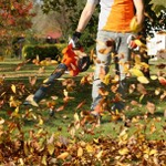 Бензиновый садовый пылесос DAEWOO DABL 270