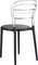 Стул Miss Bibi черный/прозрачный