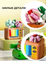 3Д конструктор Jaki Телевизор: винтажные суккуленты