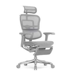 Кресло FALTO Ergohuman Elite 2 с подножкой ( серый каркас /сетка светлаяT-168-B2 Natural)