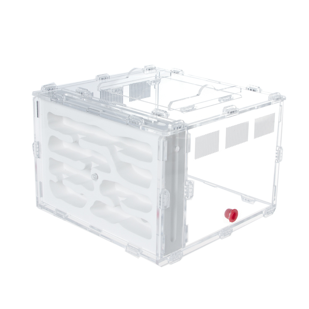 Комплект формикарий "Белый Дом 3.0" и муравьи Pheidole (160х100х100 мм)