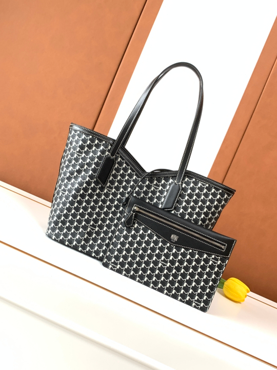 Moynat M Tote PM