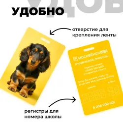 Карта Москвёнок ANIMALS №13 (проход + питание)