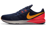 Кроссовки Nike Zoom Structure 22