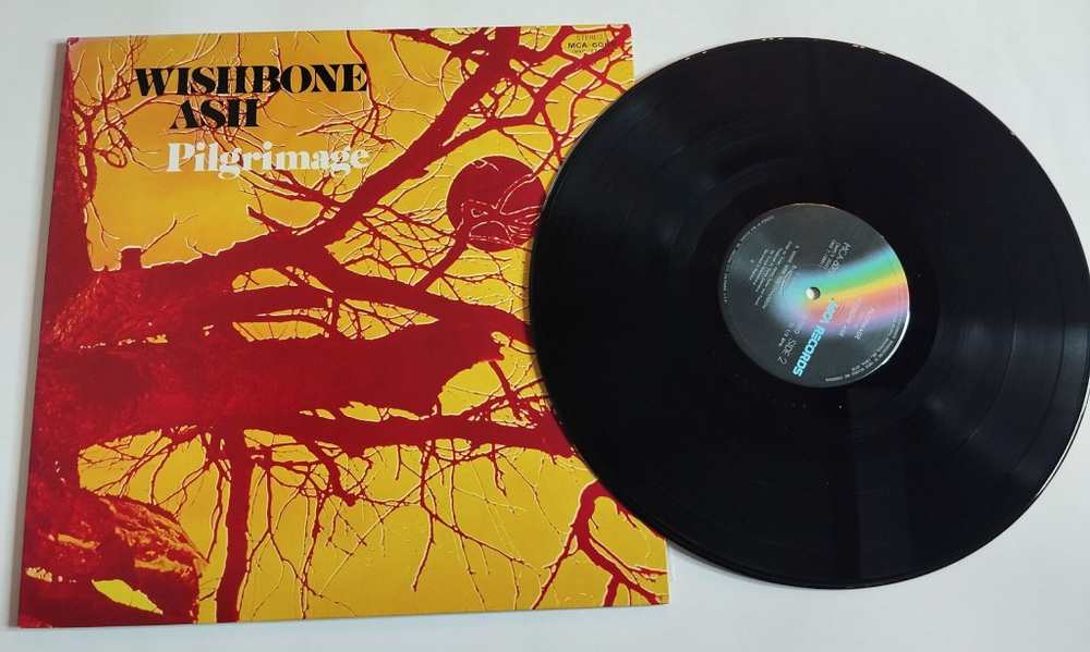 Винтажная виниловая пластинка LP Wishbone Ash Pilgrimage (Japan 1976) (No Obi)