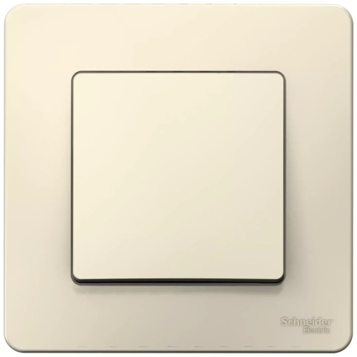 ВЫКЛ.1-кл.С/У, 10А 250B, МОЛОЧНЫЙ  BLNVS010102