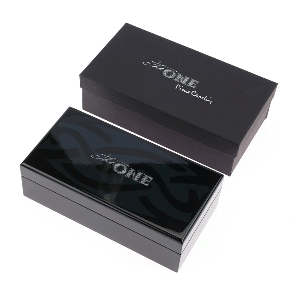 Ручка перьевая Pierre Cardin The One М