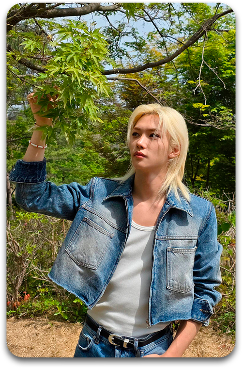 Карта / STRAY KIDS #3768