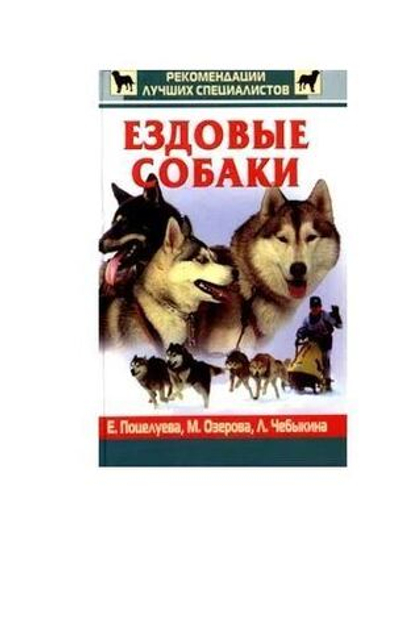 Ездовые собаки