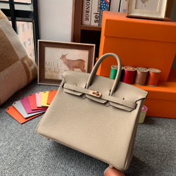 Hermes Birkin 25