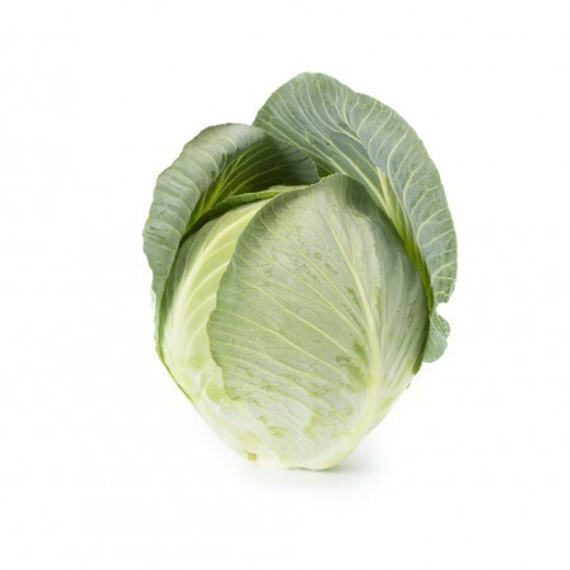 КОРСУМА F1 семена капусты белокочанной Rijk Zwaan отзывы – фото 6